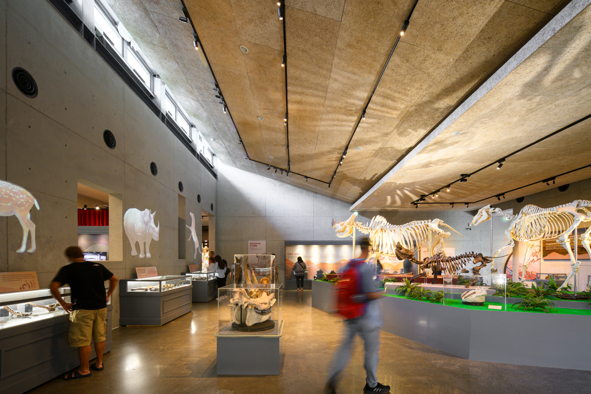 Tainan Zuojhen Fossil Museum